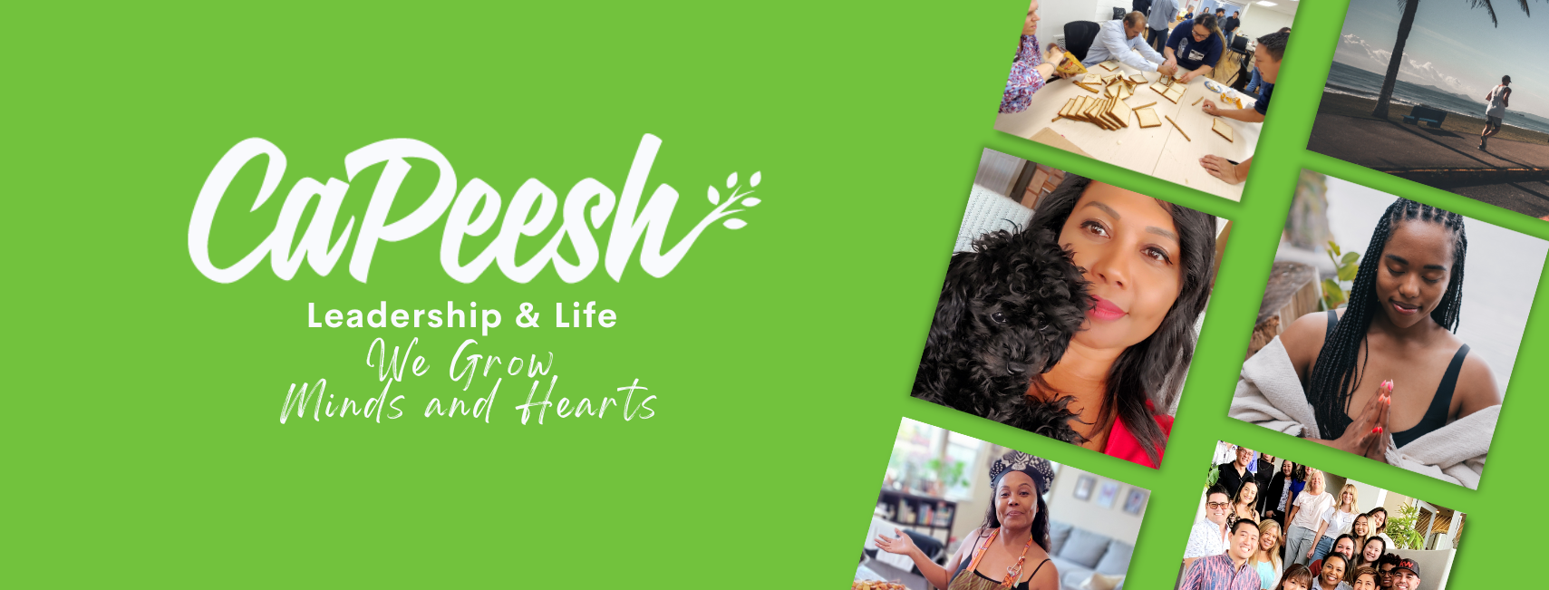 Capeesh Website Banner